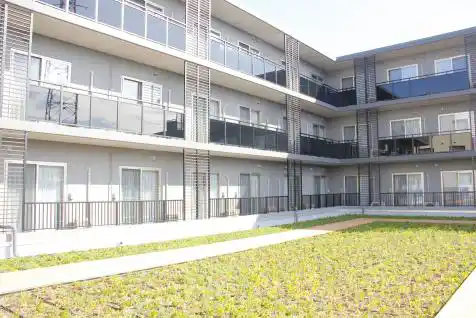 野崎ブログ
